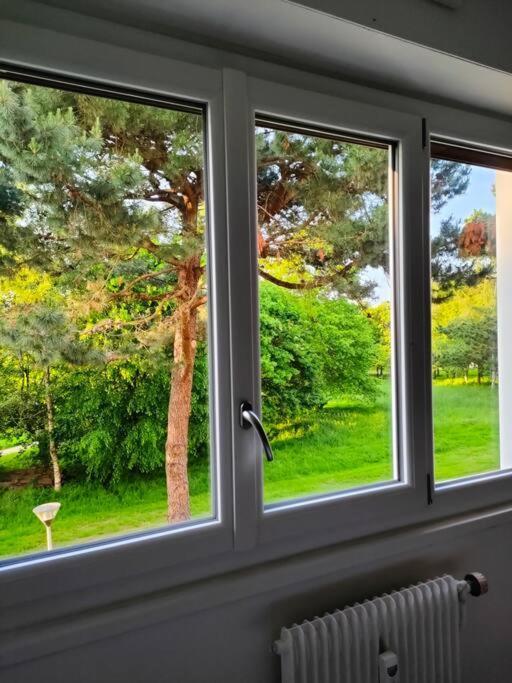 Chaleureux Appartement. Dinan Exteriör bild
